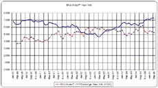 Short Index, Stock Short Index